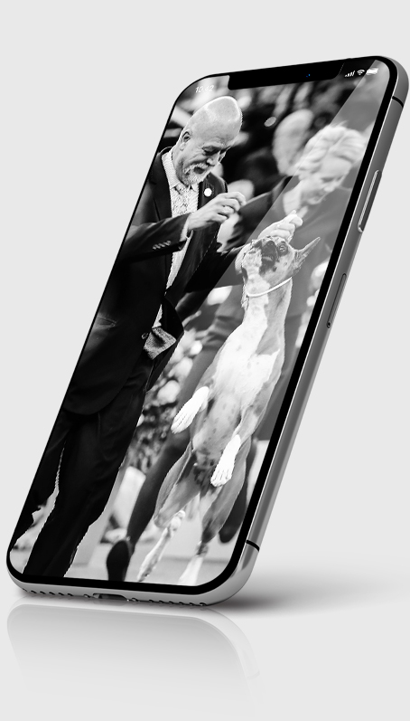 Image module
