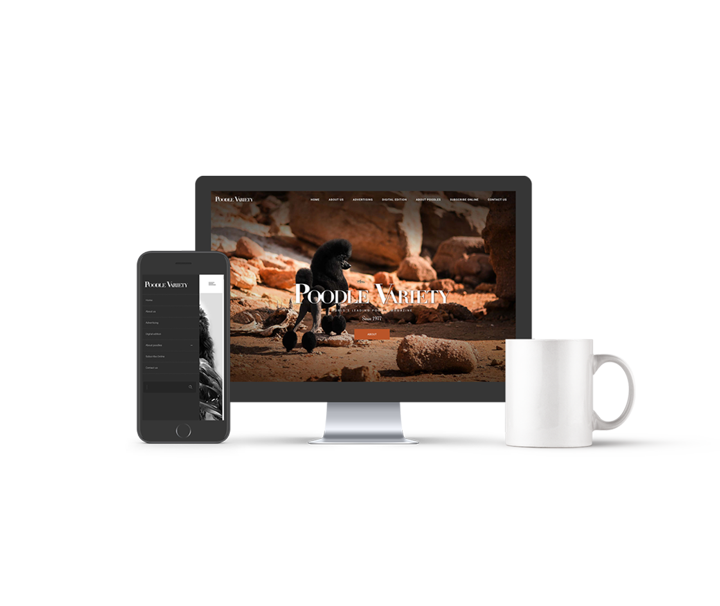 Image module